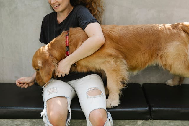 Pexels Photo 7210444